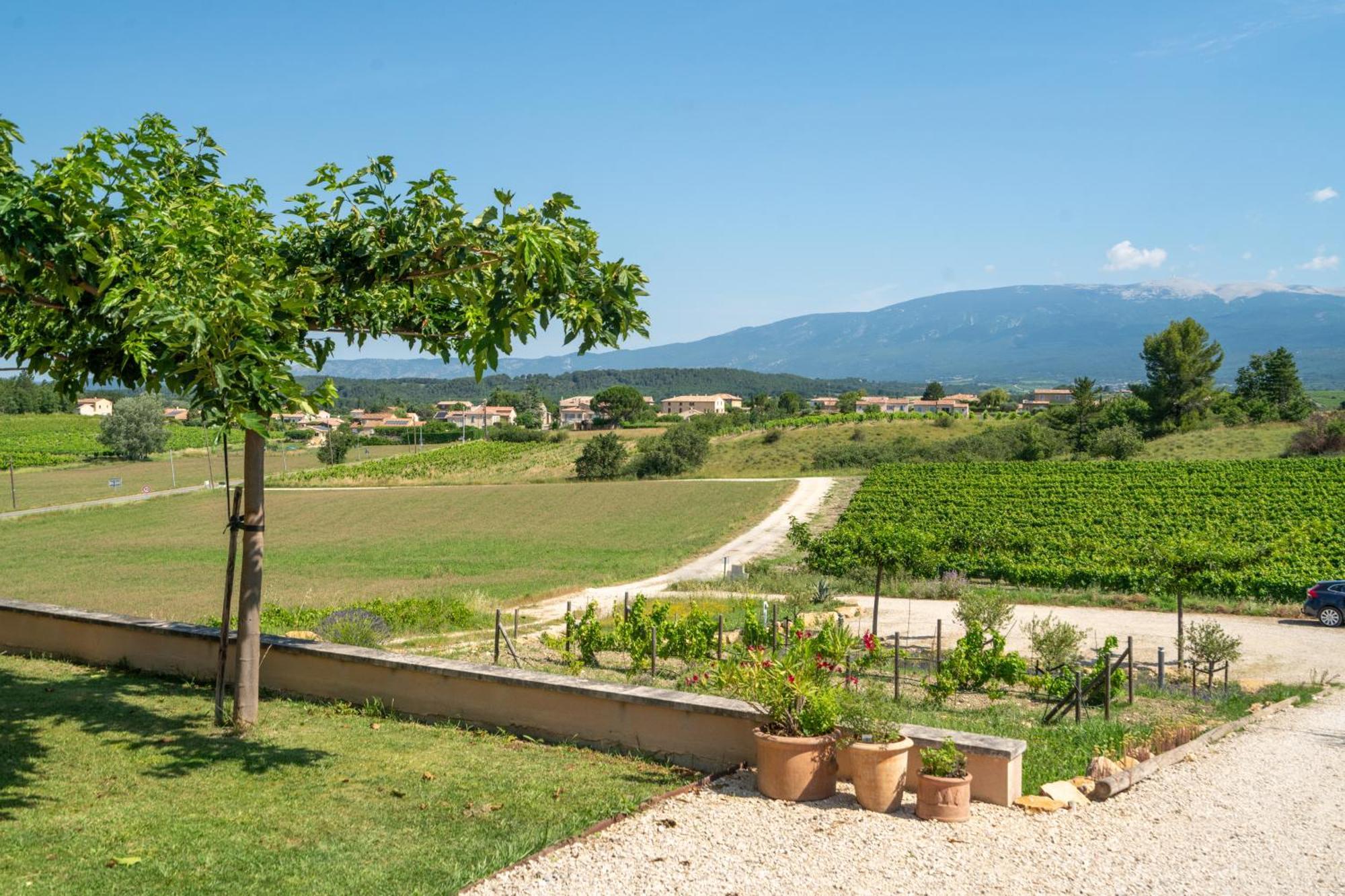 Vila Les Terrasses De Cascavelle Blauvac Exteriér fotografie